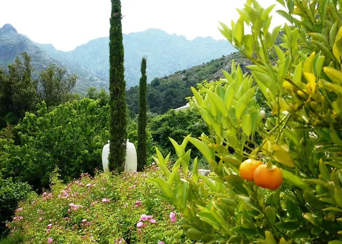 Cas'anna Lidia - De Charme Hotel Feliceto