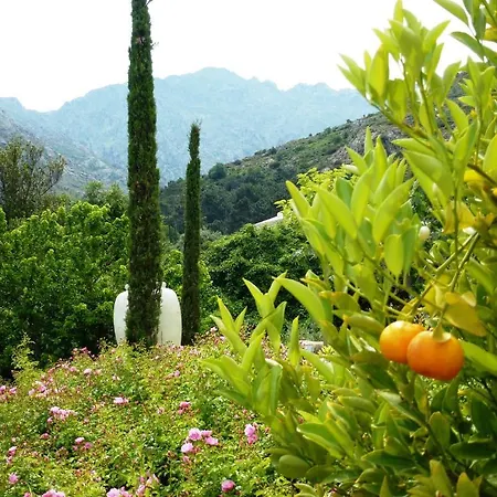 Cas'anna Lidia - De Charme Otel Feliceto