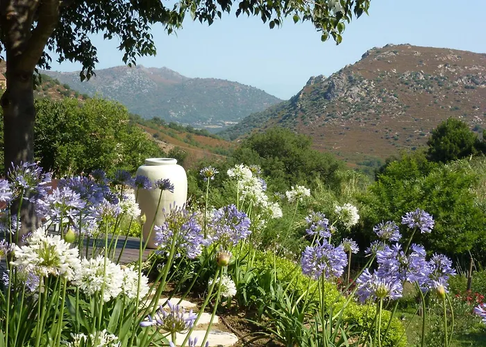 酒店 卡斯安娜利迪娅 - 魅力酒店 费里切托